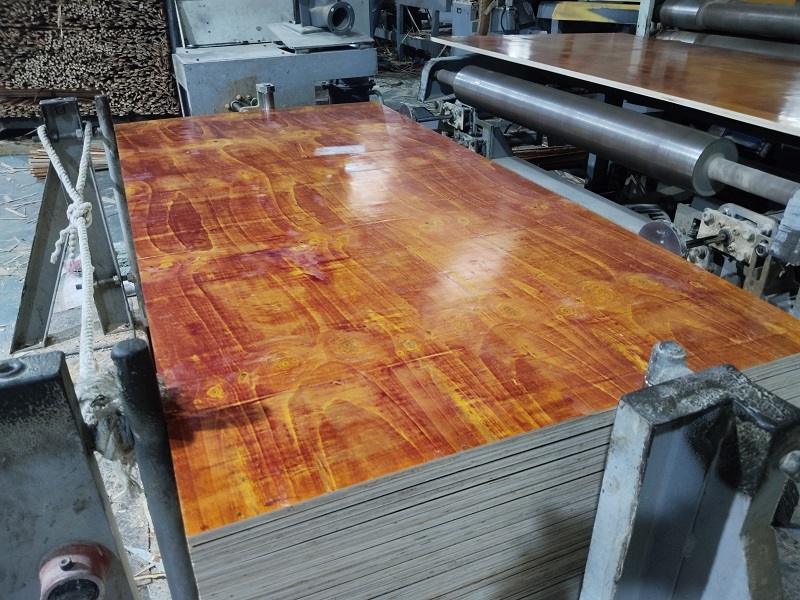 2025年广西建筑模板发展方向往哪走